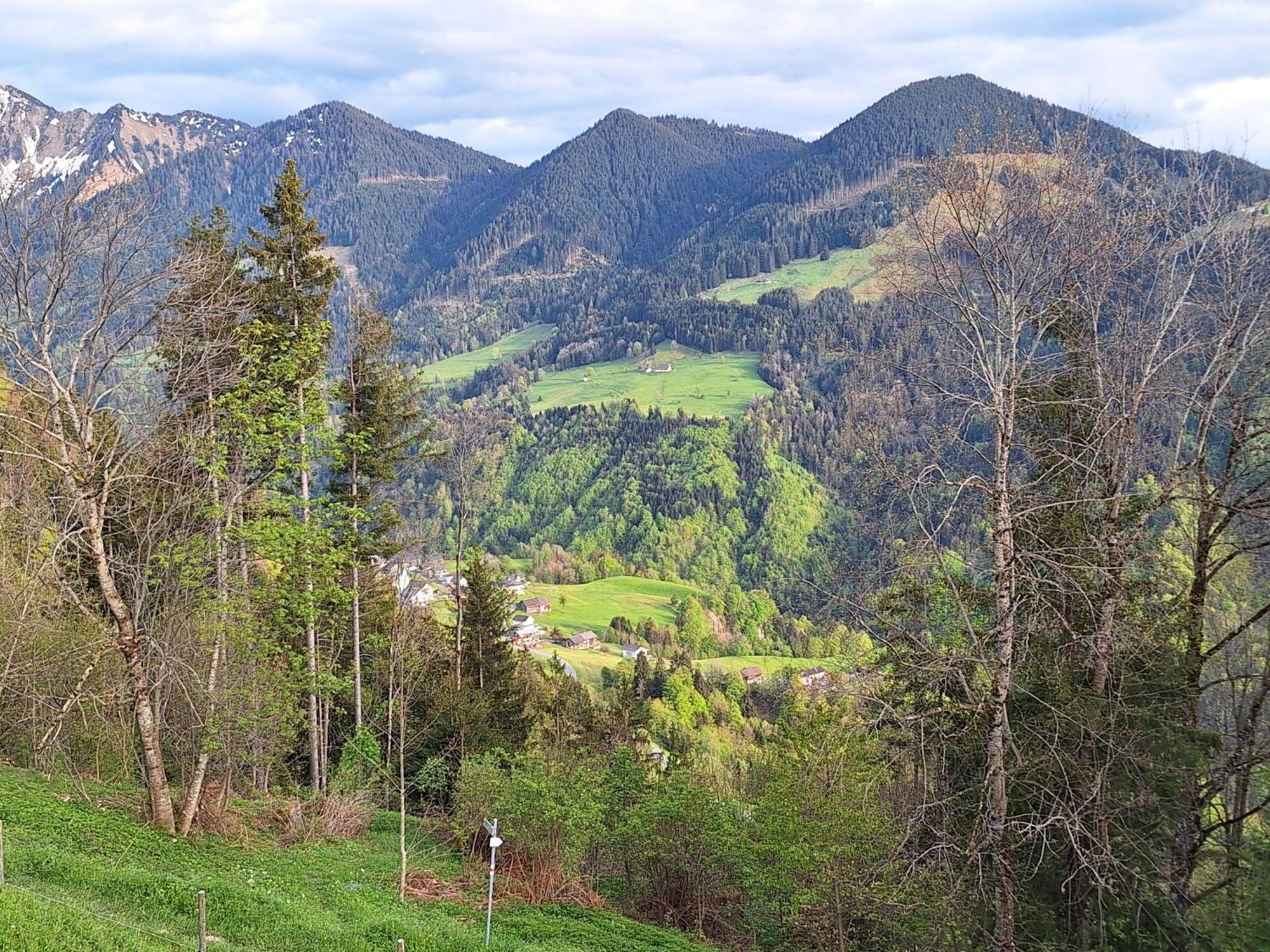 Apartment Rheintal Im Alpenvorland Batschuns Exterior foto