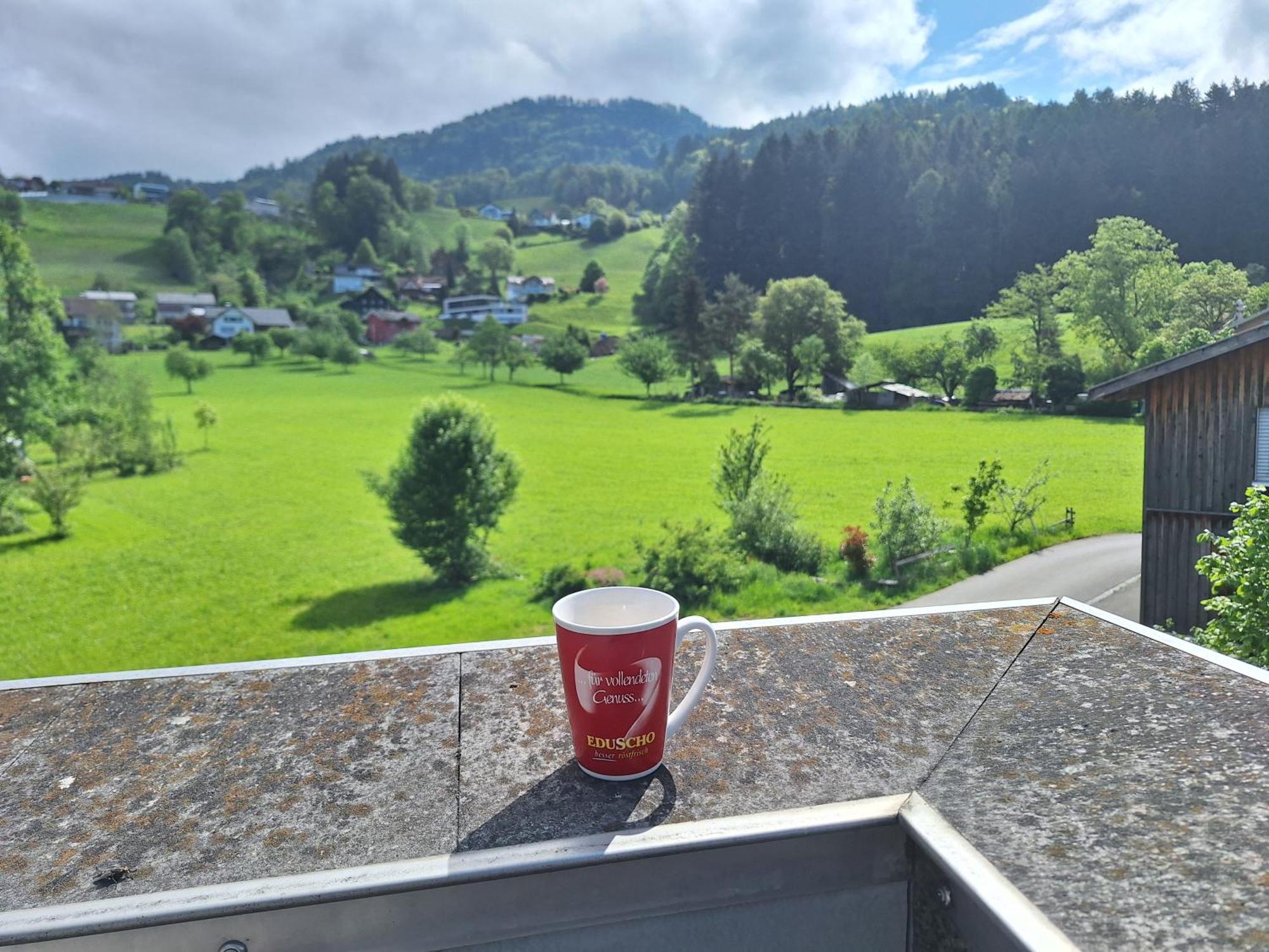 Apartment Rheintal Im Alpenvorland Batschuns Exterior foto